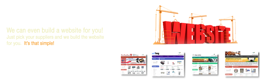 Dropship Website