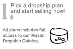 choose a dropship plan