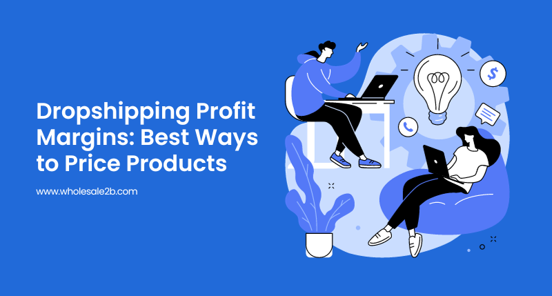 Dropship Profit Margins Guide