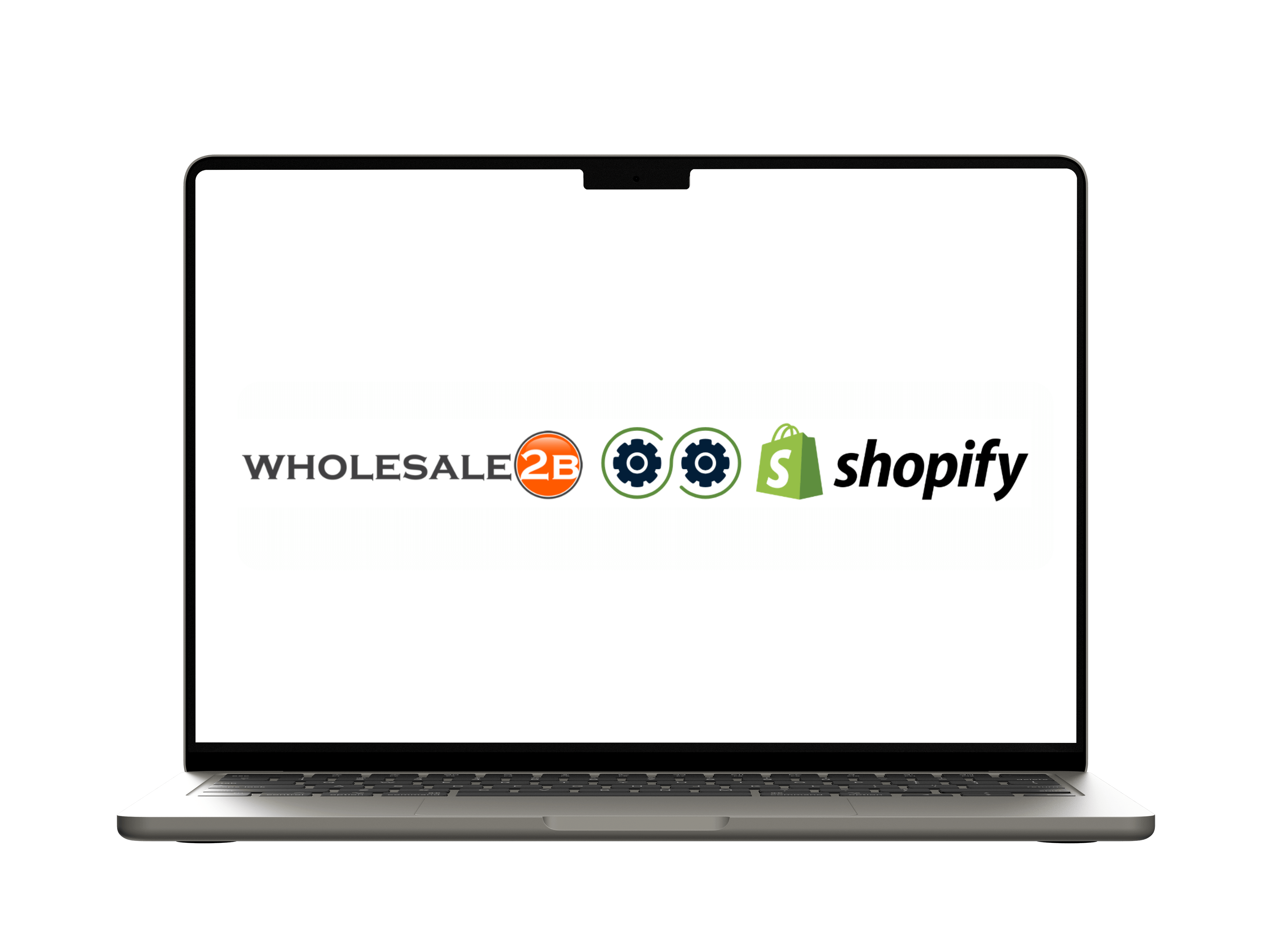 Store Preview