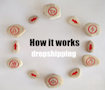 Introduction to dropshipping